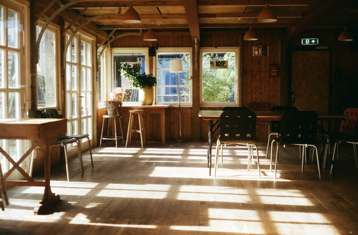Nieuw leven in de groene omgeving